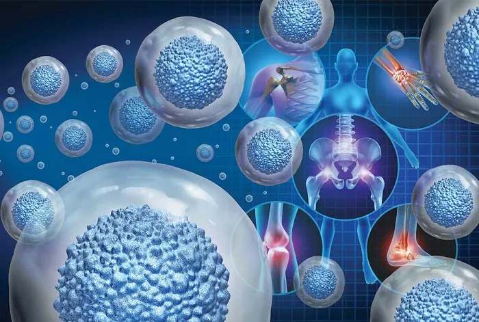 Cellular Regeneration Process